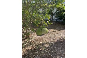 2302 Sunrise 3-201, Fort Pierce, FL 34949, Fort Pierce, FL 34949 - MLS#R11161959