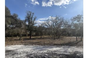 22134 264th Street, Okeechobee, FL 34972 - MLS#R11162822