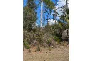 Xxx Eldron Avenue, North Port, FL 34286 - MLS#R11163815