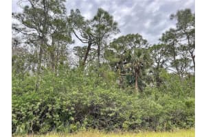 516 Woodman Drive, Lehigh Acres, FL 33972 - MLS#R11165367