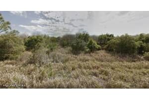 1517 Conistan Street, Palm Bay, FL 32908 - MLS#R11167389