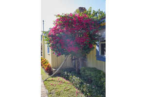 611 S Palmway, Lake Worth Beach, FL 33460, Lake Worth Beach, FL 33460 - MLS#R11167487