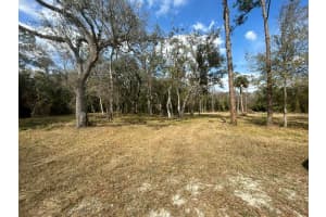 855 368th Drive, Okeechobee, FL 34972 - MLS#R11167798