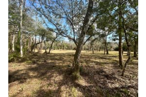 855 368th Drive, Okeechobee, FL 34972 - MLS#R11167798