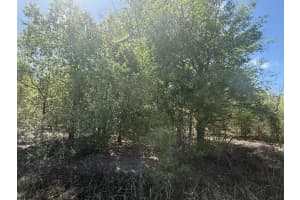 21668 266th Street, Okeechobee, FL 34972 - MLS#R11168257