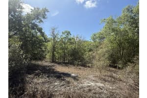 21668 266th Street, Okeechobee, FL 34972 - MLS#R11168257