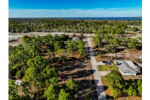 119 Van Allen Ave NW Avenue, Lake Placid, FL 33852 - MLS#R11168668