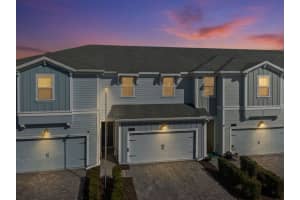 2925 Satire Street, Kissimmee, Fl 34746, Kissimmee