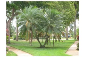 4347 Willow Brook Cir, West Palm Beach, FL 33417, Sold 02/13/12