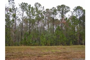 8600 Ridgewood Avenue, 1309, Cape Canaveral