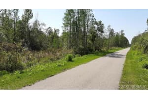 2367 Hagoplan Avenue Sw, Palm Bay