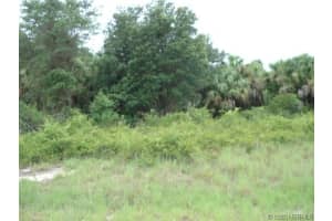 327 Wilson Avenue 403, Cocoa Beach