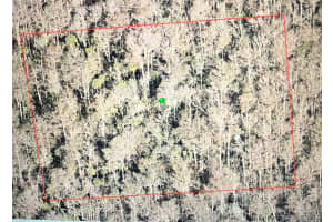 920 Margie Drive, Titusville