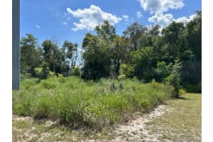 2303 Early Dawn Circle, Melbourne