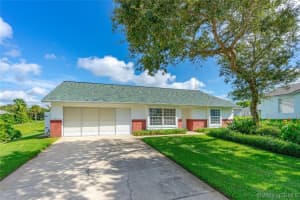 3250 Burrowing Owl Drive, Mims