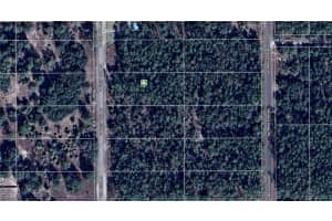 1811-016-025 Sw Little Cliffs Dr, Dunnellon