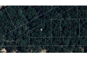 3077 W Grapevine Ct, Dunnellon