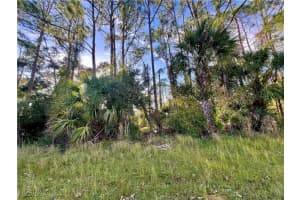 Lummus St, North Port