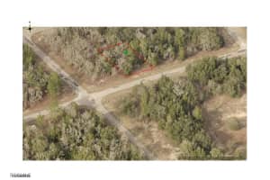 1641 W Delmane Dr, Dunnellon