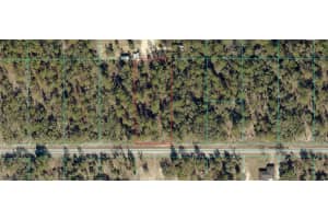 1806-002-033 Sw Papaya Ln, Dunnellon