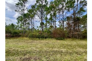 451 Fellenz St, Port Charlotte