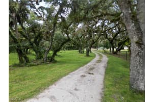 1269 Alex Blvd, Labelle