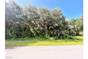 19136 Ruskin Ave, Port Charlotte