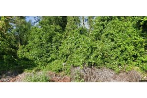 1557 Spring Ln, Lake Placid