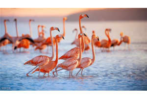 1818 Cherie Ln, North Fort Myers