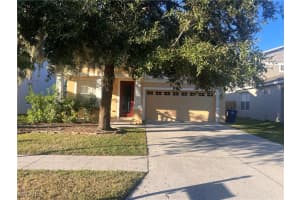 1123 Napoleon Way, Wesley Chapel