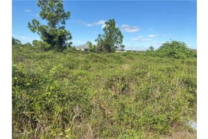 521 Trinity St E, Lehigh Acres