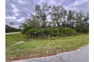 1131 Bowman Ter, Port Charlotte