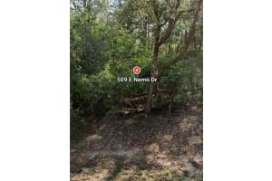 509 E Nemo Dr, Citrus Springs