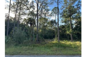 1713 Greenwood Ave, Lehigh Acres