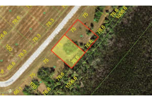 13441 Whitefish Ct, Placida