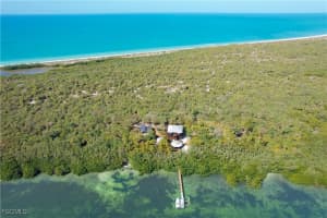 1000 Cayo Costa, Cayo Costa