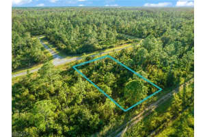 316 Tyrone Ave, Lehigh Acres 316 Tyrone Ave, Lehigh Acres