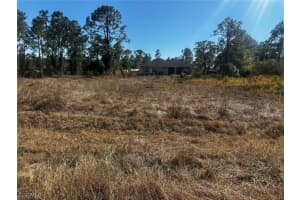 1044 Bells St E, Lehigh Acres