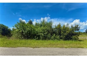 1229 Belgrave St, Fort Myers