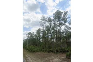 917 Wellington Ave, Lehigh Acres