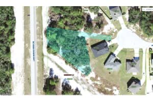 1257 Amazon Ln, Kissimmee 1257 Amazon Ln, Kissimmee