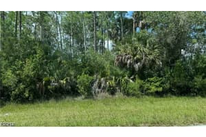 963 Lytle St E, Lehigh Acres
