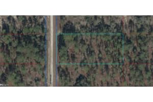 06841-015-00 Se 133rd Ave, Dunnellon