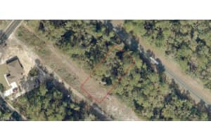 9033-1107-21 Locust Rd, Ocala 9033-1107-21 Locust Rd, Ocala