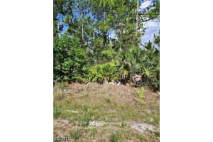 1016 Rush Ave, Lehigh Acres 1016 Rush Ave, Lehigh Acres