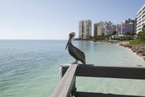 1036 S Collier Blvd W 601, MARCO ISLAND 1036 S Collier Blvd W 601, MARCO ISLAND