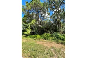 216 Anderson St Ne, Lake Placid