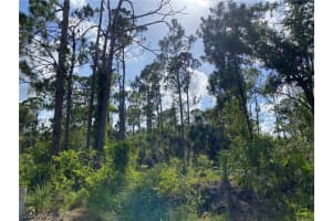 2063 Fernwood St, Port Charlotte