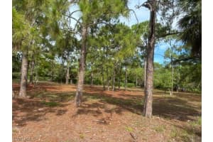470 Carica Rd, Naples