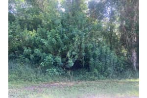 #23 Pine Tree Dr, Naples